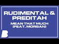 Rudimental Preditah Mean That Much Feat Morgan mp3