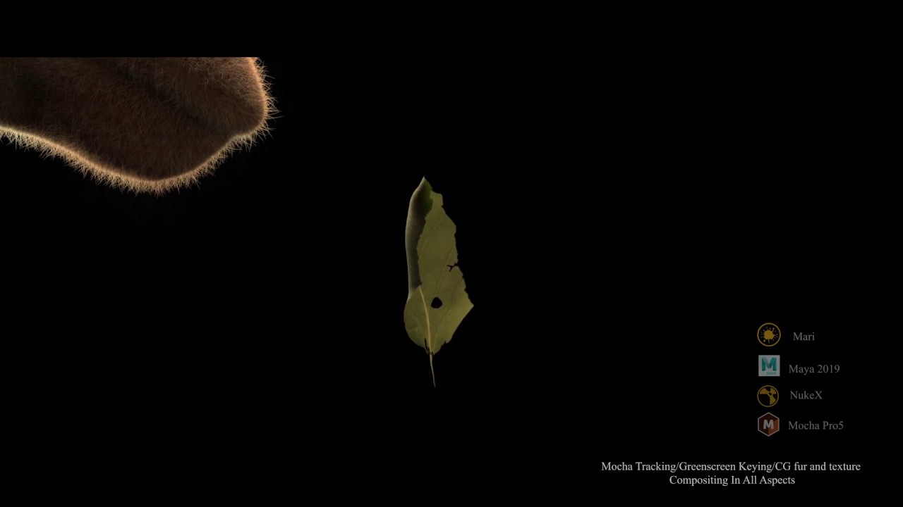 CG Giraffe GS Breakdown