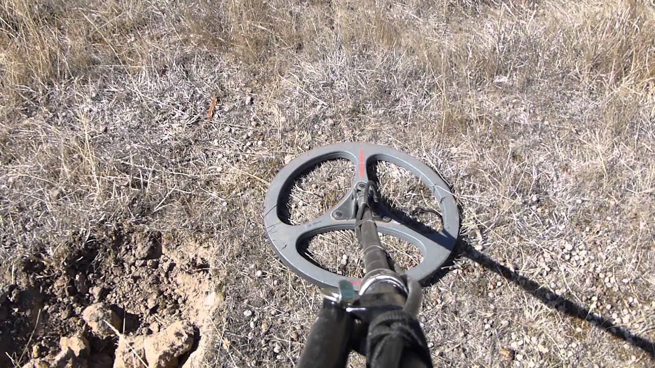 Minelab GPX 5000 finds a small gold nugget