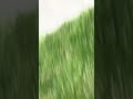 Driver chases after kid riding dirt bike on sidewalk