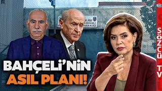 Devlet Bahçeli Öcalandan Asıl Bunu İstiyormuş Özlem Gürses O Sözlerin Perde Arkasını Anlattı