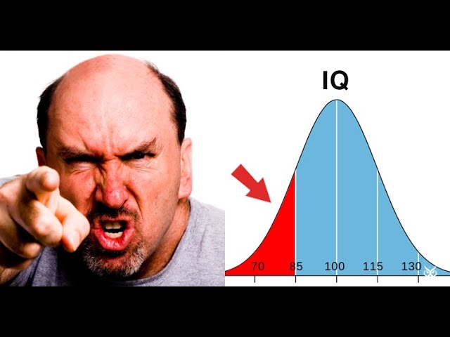 Andrew Tate IQ: What is Andrew Tate's IQ?