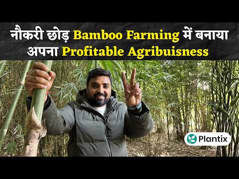 Bamboo Farming in India Business Model Explained | Farmer Anutosh Verma | Plantix Success Story