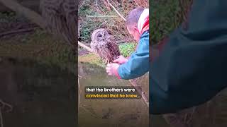 The wise owl understood they’re h...