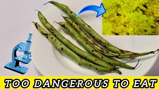 BEWARE! IF YOU SEE BLACK SPOTS ON GREEN BEANS, THEY COULD BE DANGEROUS! (MUST WATCH)