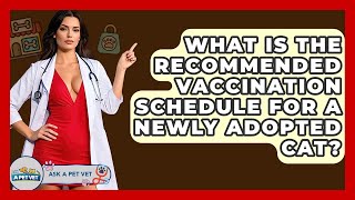 What Is The Recommended Vaccination Schedule For A Newly Adopted Cat? - Ask A Pet Vet