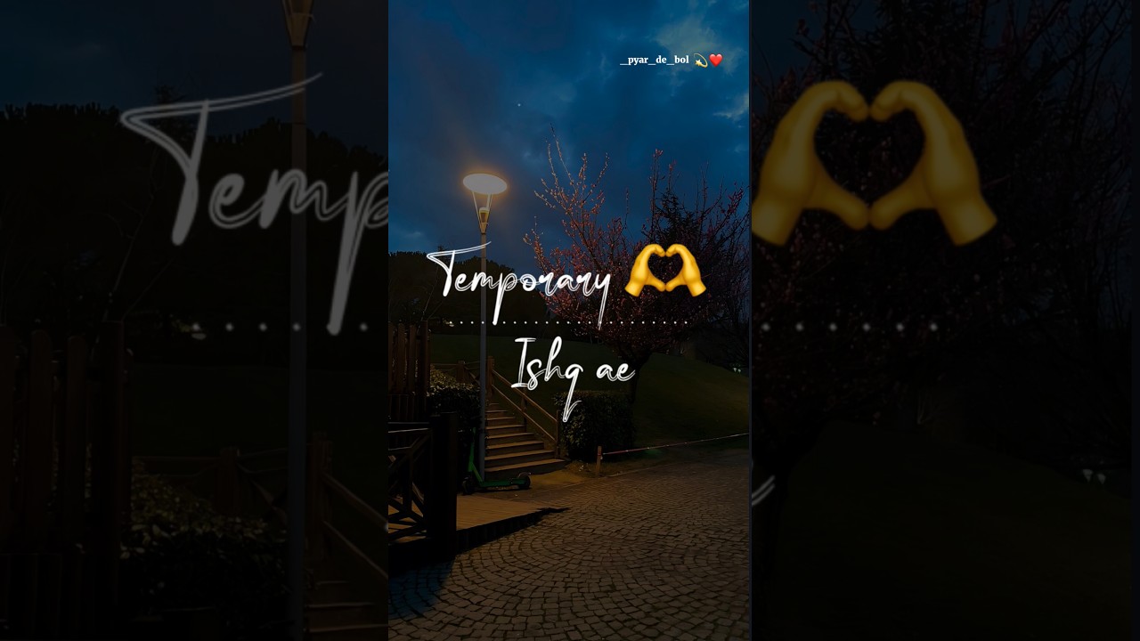 Temporary Ishq Aee Jawani Vich Risk Aee Song Status