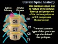 Cervical spine anatomy