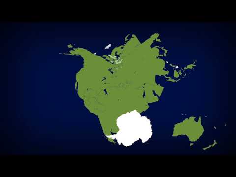 Pangea is Back!!! 