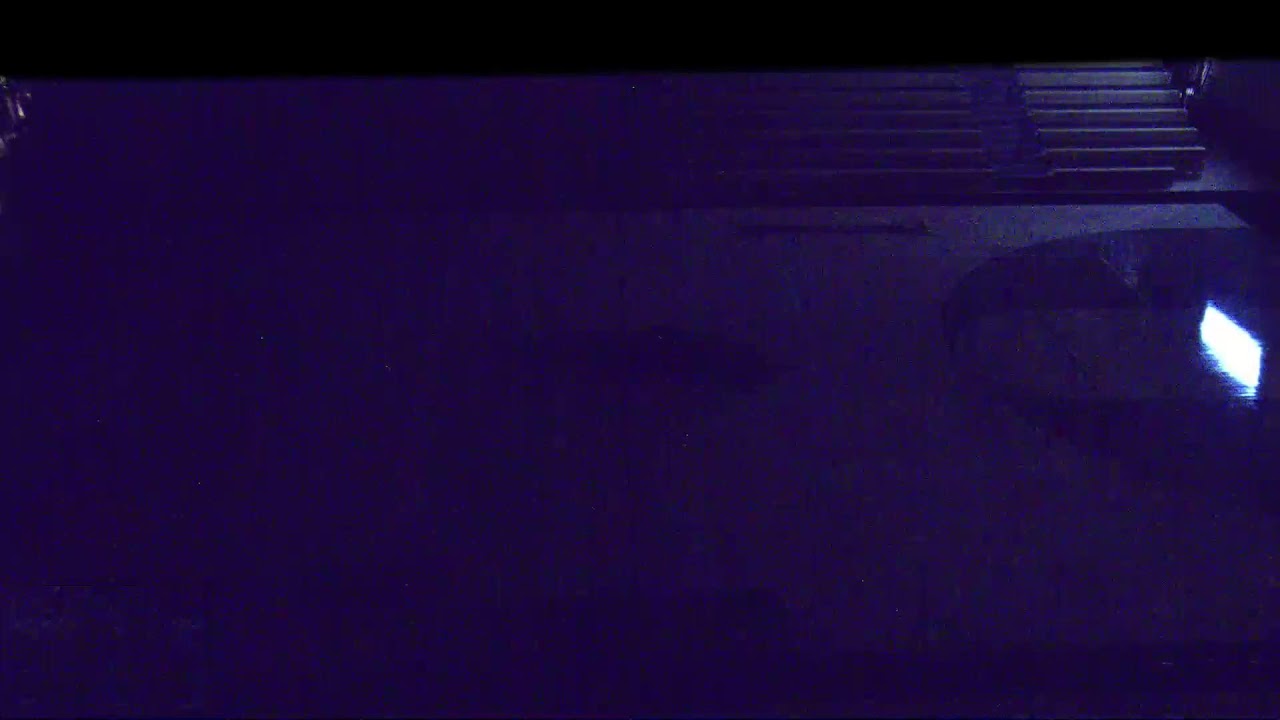 Varsity: Pine View High School vs Cedar High School