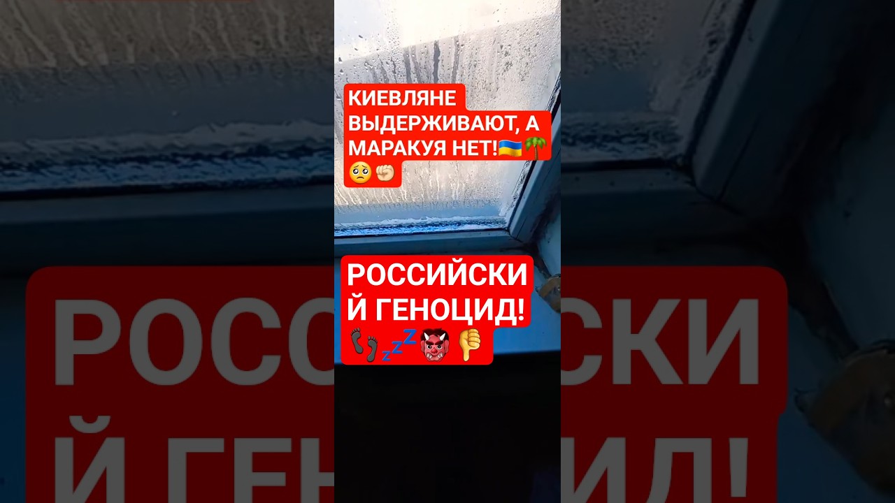 🌴🇺🇦✊🏻КИЕВЛЯНЕ ВЫДЕРЖУЮТ, А МАРАКУЯ НЕТ! 3 ФВРАЛЯ НОЧЬ ПОД ОБСТРЕЛАМИ 