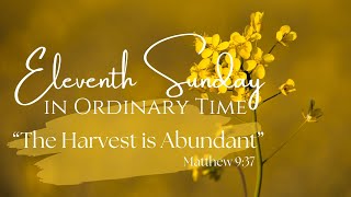Vigil Mass | 11th Sunday in Ordinary Time | Saturday, June 13, 2026
