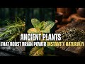 Plants That Scientists Say Repair Brain Damage