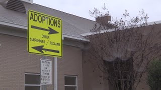 Bibb County Sheriff's Office takes over operations of animal shelter