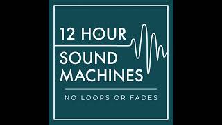 Oceanside Windstorm Sound Machine (12 Hours)