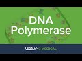 DNA Polymerase | Biochemistry