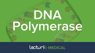 DNA Polymerase | Biochemistry