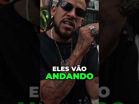 Favela A Planta que deu Nome ao Morro