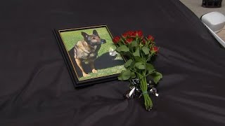 Deputies, officers mourn loss of K9 accidentally shot, killed in line of duty