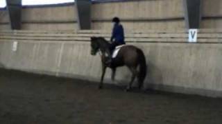 Second Favour 20110106 mark.wmv