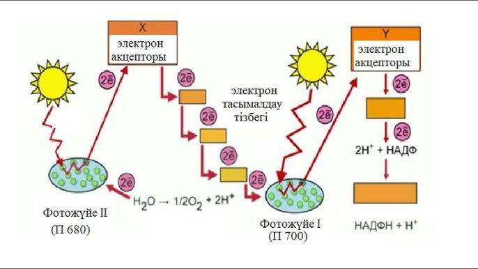 Азиялық душта порно көру