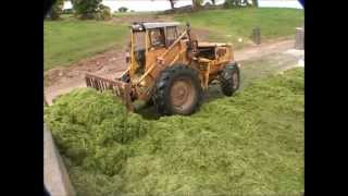 Volvo BM LM 841 pushing up silage