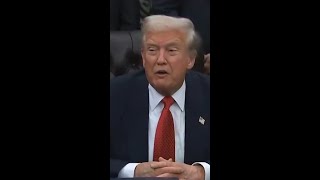 Famous Trump Dodges Every Epstein Question Profile