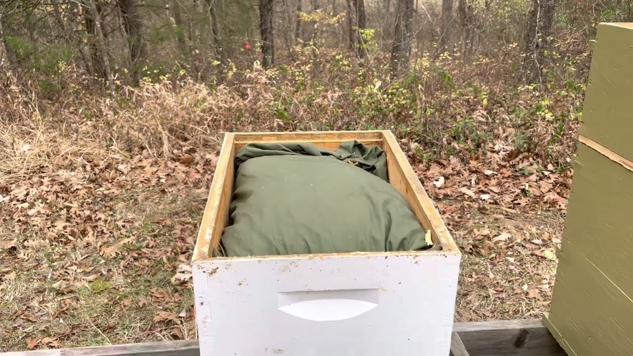 Winterizing Langstroth honey bee hives with quilt box beekeeping 