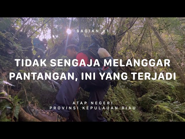 GUNUNG DAIK - SEPINCAN - Atap Negeri Kepulauan Riau #1 class=