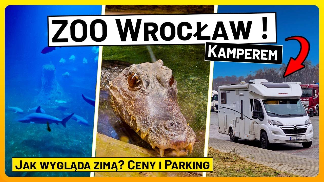 ZOO Wrocław Kamperem, Ile Kosztują Bilety, Gdzie Stanąć Kamperem,  i Co Można Zobaczyć Tam Zimą?
