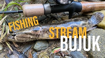 「 BUJUK 」STREAM FISHING - TURING MONKEY CT40 [ENG SUBS]