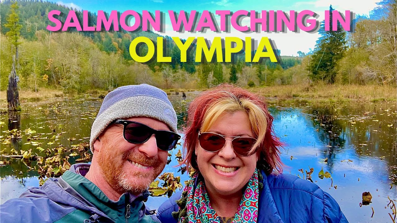 Salmon Watching in Olympia, Washington Check out the McLane Creek