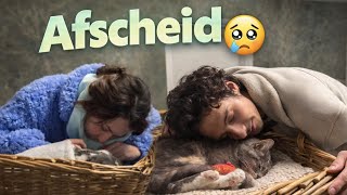 Afscheid nemen van mijn kat in het DIERENCREMATORIUM! #1434 