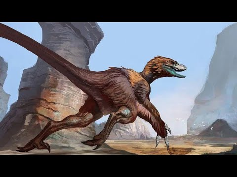 Amazing Raptors The MOST Amazing Raptors That EVER Evolved - YouTube