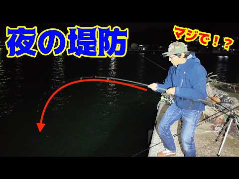 Throwing horse mackerel off a night pier and catching fish one after another!!
