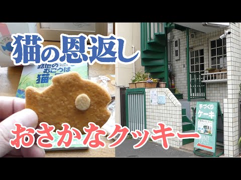 猫の恩返し のモデル地は阿佐ヶ谷とどこ おさかなクッキー ケーキ屋 猫の事務所 十字街など聖地まとめ 猫の恩返し のモデル地は阿佐ヶ谷とどこ おさかなクッキー ケーキ屋 猫の事務所 十字街など聖地まとめ