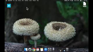 How to open a file from Launchpad on macOS