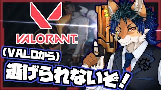 【Valorant】ランクまわすよ！【ケモノ系Vtuber】 #13