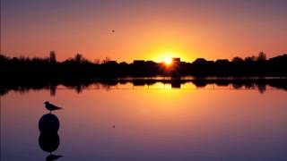 ROGER WHITTAKER       THERE GOES MY EVERYTHING