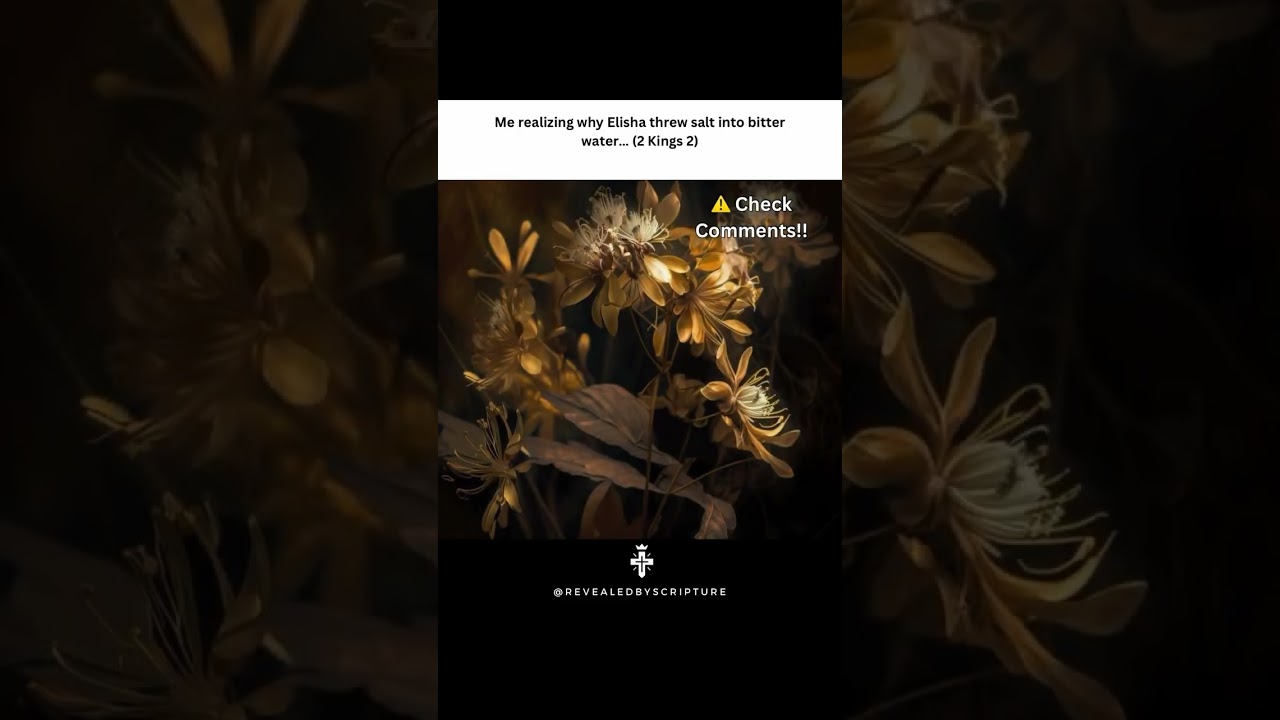 Wait… Why Did Elisha Throw Salt Into Bitter Water?! 🧂💧 (Check Comments!) 