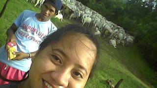 tHe 4ever Dabarkads