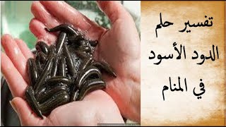 تفسير حلم الدود الأسود في المنام عند ابن سيرين