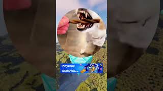 Всегда думаю про бобра 🐕 #мем #кружки #мемы #meme