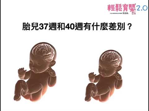 輕鬆育嬰2.0/007