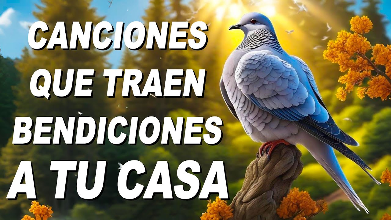 Musica Catolica De Alabanza Y Adoracion 2026 | Canciones Catolicas de Alabanzas Y Adoracion