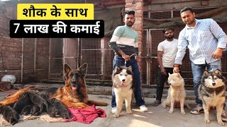 Shauk Ke Saath Dog Breeding Business Karta Yuva | German Shepherd | Husky