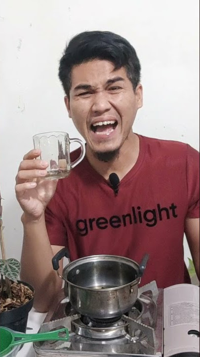 Challenge Minum Air Rebusan Sirih Merah #shorts