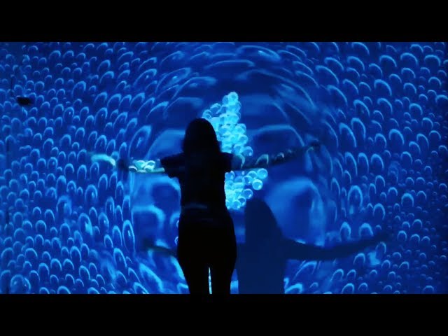 Illusion - immersive interactive art installation - Flutter