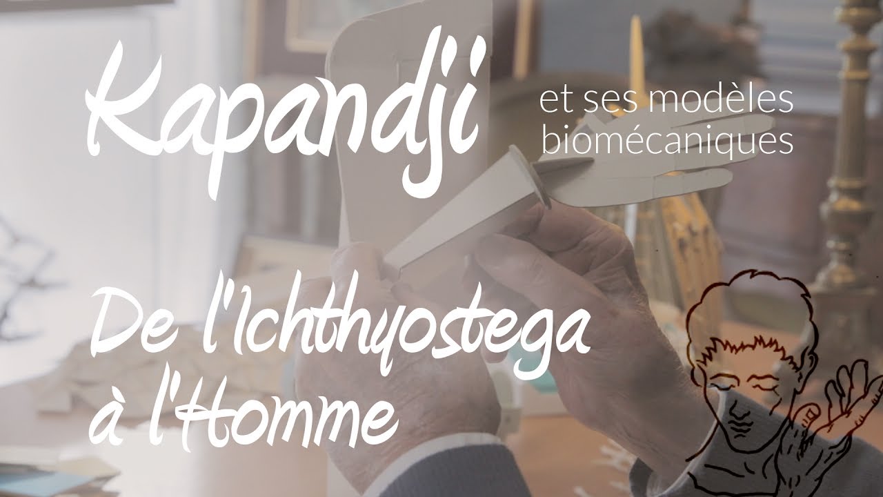 A. Kapandji: de l’ichthyostega à l’Homme, de la nageoir… — Transcript