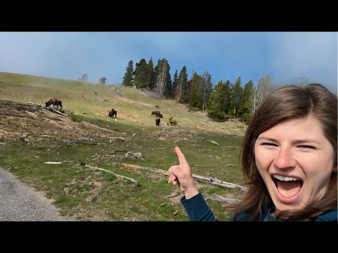 Staying Keto in Yellowstone National Park